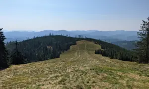 Widok z kamery rysianka na zalesione wzgórza i pasma górskie w oddali.