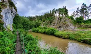 Most na skalnym zboczu w słowackim parku narodowym, nad brązową rzeką, otoczony bujną zielenią i drzewami.