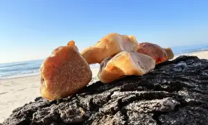 Kawałki bursztynu na ciemnym drewnie, na tle plaży i błękitnego nieba. Tak wygląda bursztyn na plaży, lśniący w słońcu.