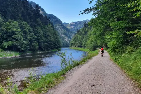 Rowerzysta przemierza malowniczą trasę Velo Dunajec w okolicach Zakliczyna, otoczony zielonymi lasami i spokojną rzeką.