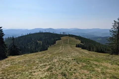 Widok z kamery rysianka na zalesione wzgórza i pasma górskie w oddali.