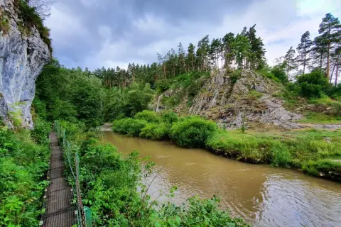 Most na skalnym zboczu w słowackim parku narodowym, nad brązową rzeką, otoczony bujną zielenią i drzewami.