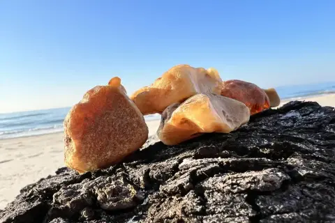 Kawałki bursztynu na ciemnym drewnie, na tle plaży i błękitnego nieba. Tak wygląda bursztyn na plaży, lśniący w słońcu.