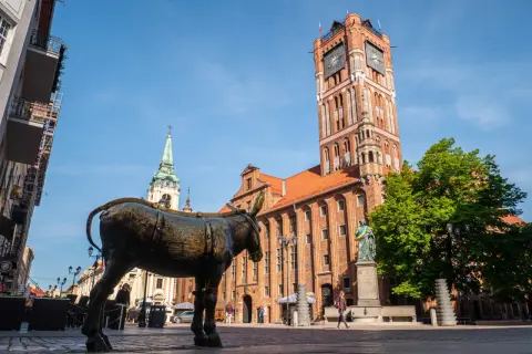 Pomnik osiołka na Rynku Staromiejskim w Toruniu, w tle Ratusz i kościół. Jedna z wielu toruńskich atrakcji.
