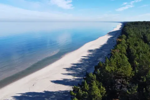 Szeroka, piaszczysta plaża na mierzei wiślanej, otoczona gęstym lasem sosnowym. Spokojne, błękitne morze i czyste niebo.