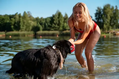 Radosne mazury z psem. Dziewczyna w czerwonym stroju kąpielowym bawi się z czarnym psem w jeziorze.