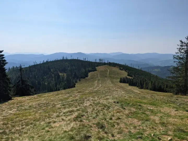 Widok z kamery rysianka na zalesione wzgórza i pasma górskie w oddali.